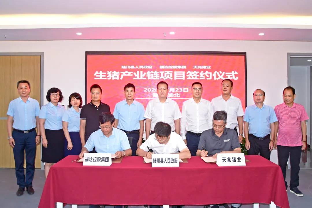 澳门2025最新饮料大全