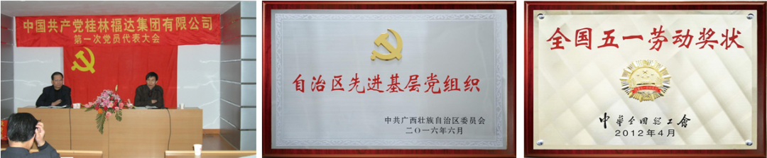 澳门2025最新饮料大全