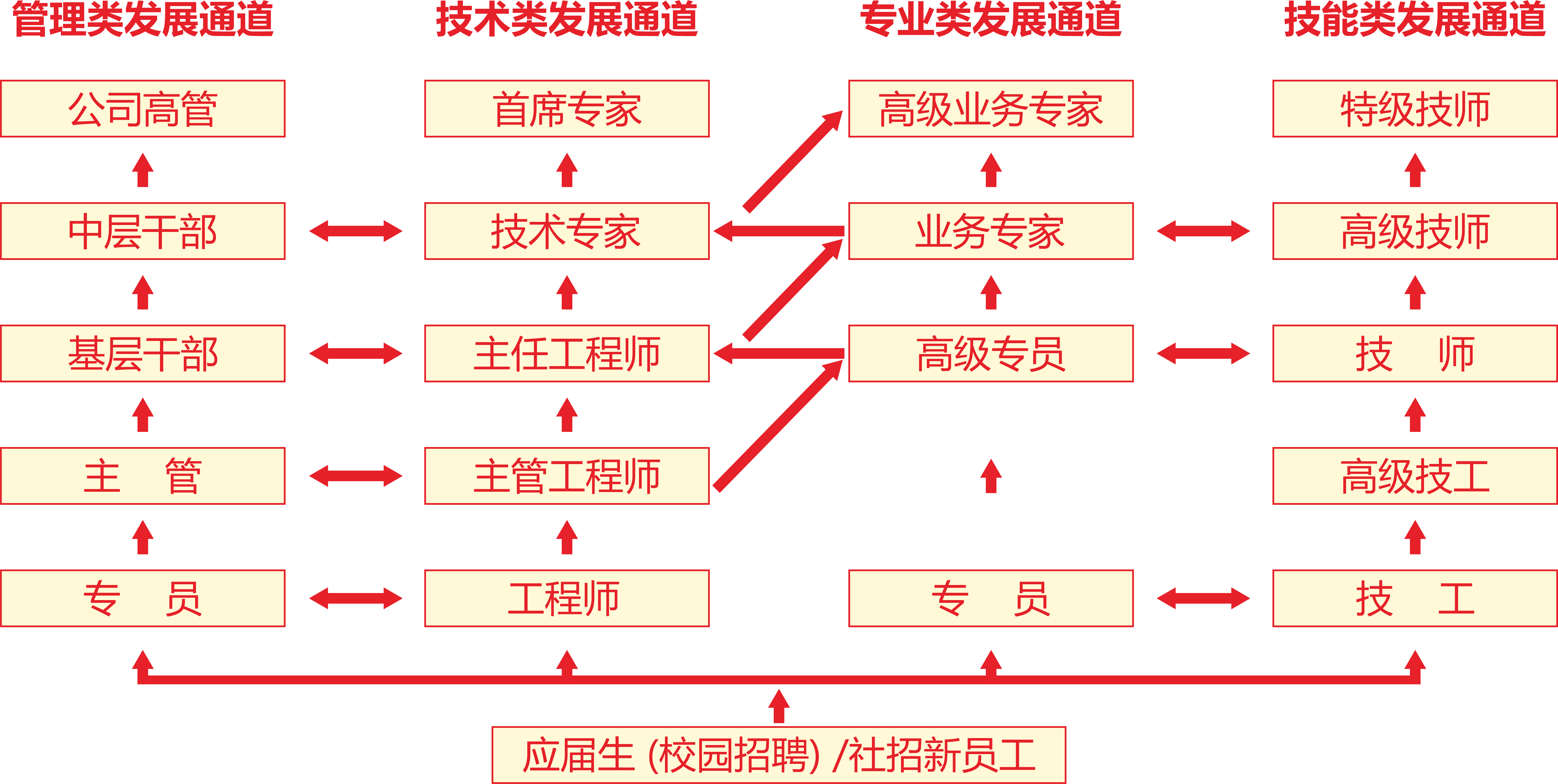 澳门2025最新饮料大全