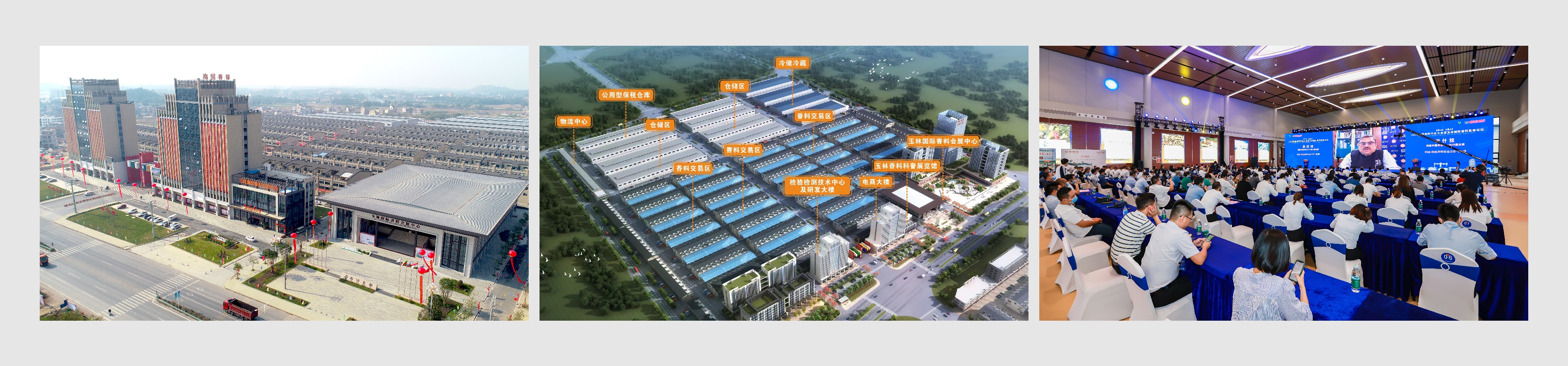 澳门2025最新饮料大全