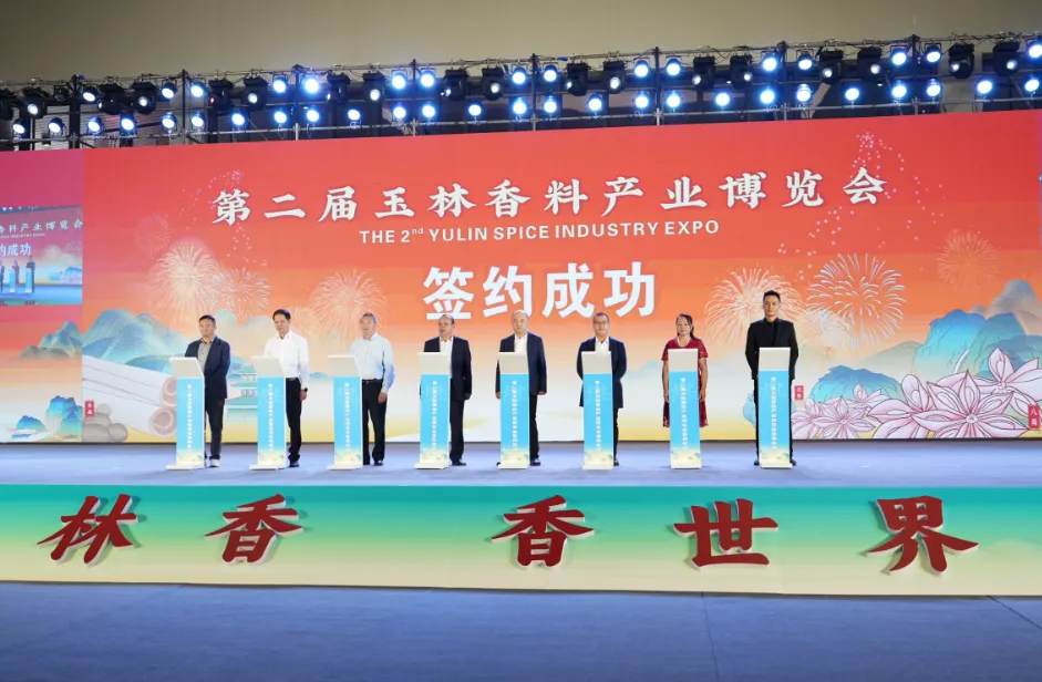 澳门2025最新饮料大全