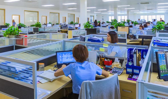 澳门2025最新饮料大全