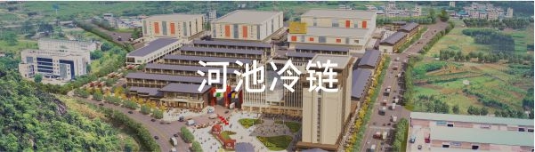 澳门2025最新饮料大全